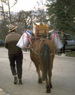 Eigenbau-Spritze auf dem Pferd
